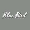 Blue Bird Tatouage Beaune