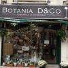 Botania D&co Gravelines