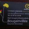Bougainvillee Quéven