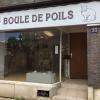 Boule De Poils Avallon