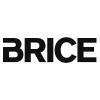 Brice Arles