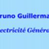 Bruno Guillermaz Electricité Trept