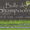 Bulle De Shampooing Casson