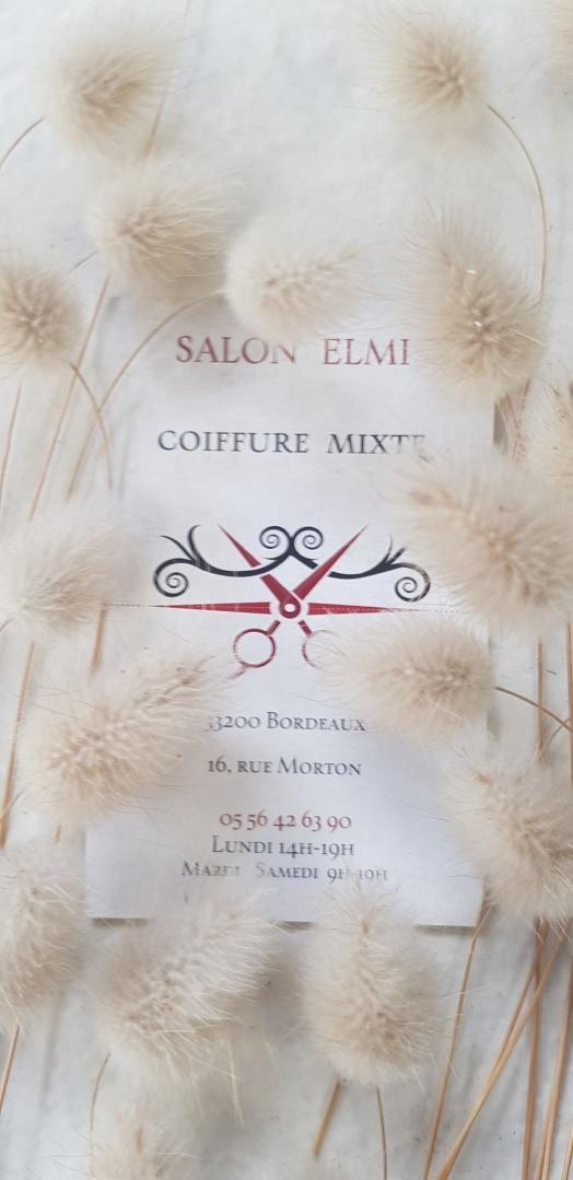Salon Elmi Bordeaux