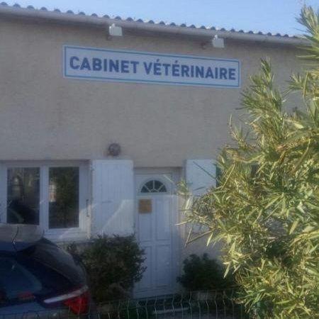 Cabinet Veterinaire Caffa Saint Rémy De Provence