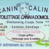 Canin Caline Cabourg
