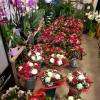Bouquets Pour La Saint Valentin 2018
