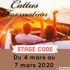 Cattus Formation Thouars