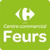Centre Commercial Carrefour Feurs Feurs