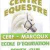 Cerf - Centre Equestre Régional Du Forez Marcoux