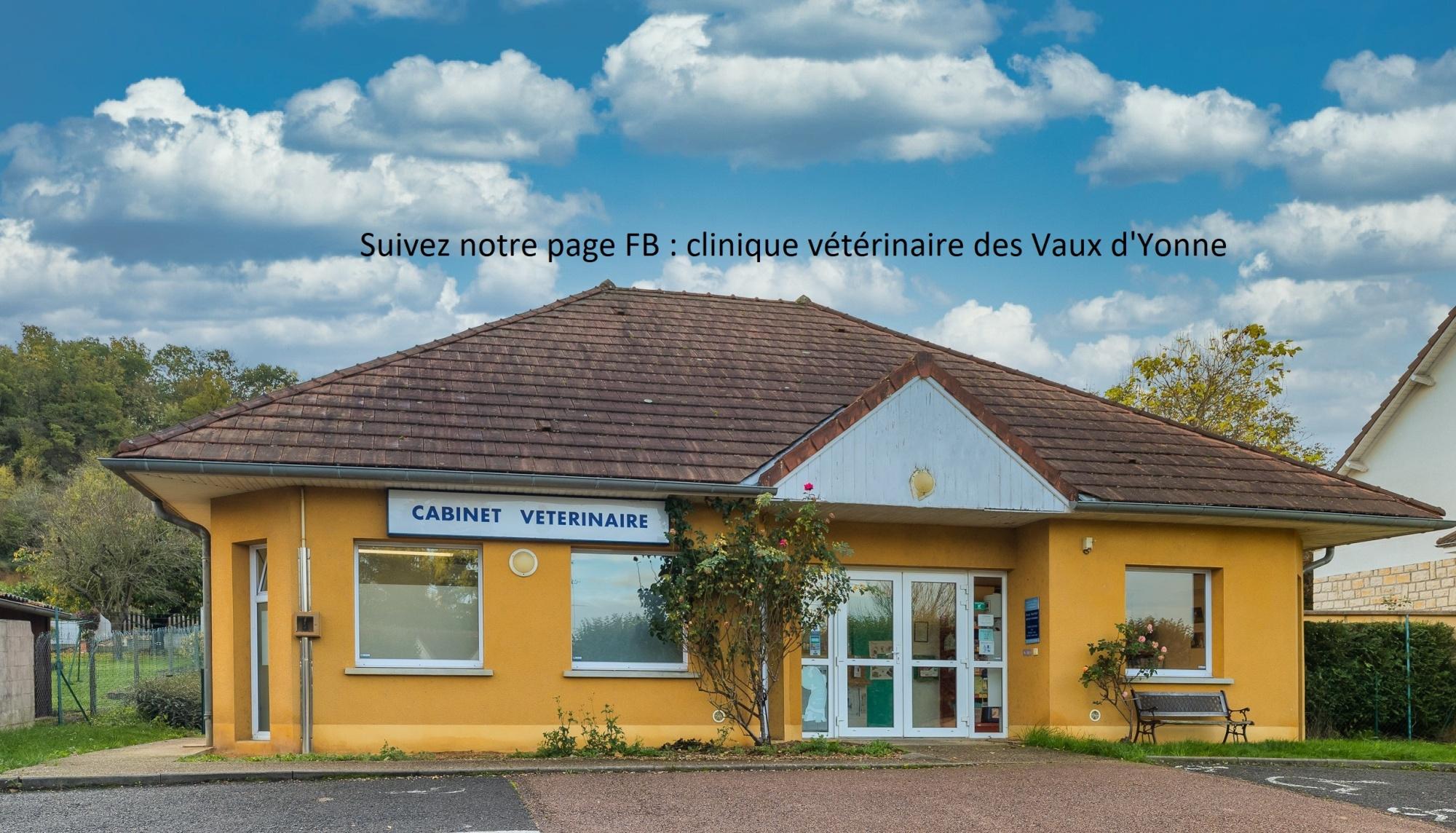 Clinique Des Vaux D'yonne  Clamecy