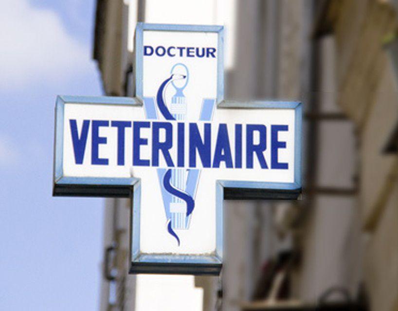 Clinique Vétérinaire Caen