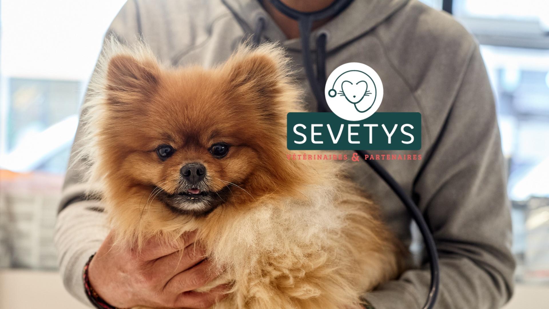 Clinique Vétérinaire D'artois - Olivet - Sevetys Olivet