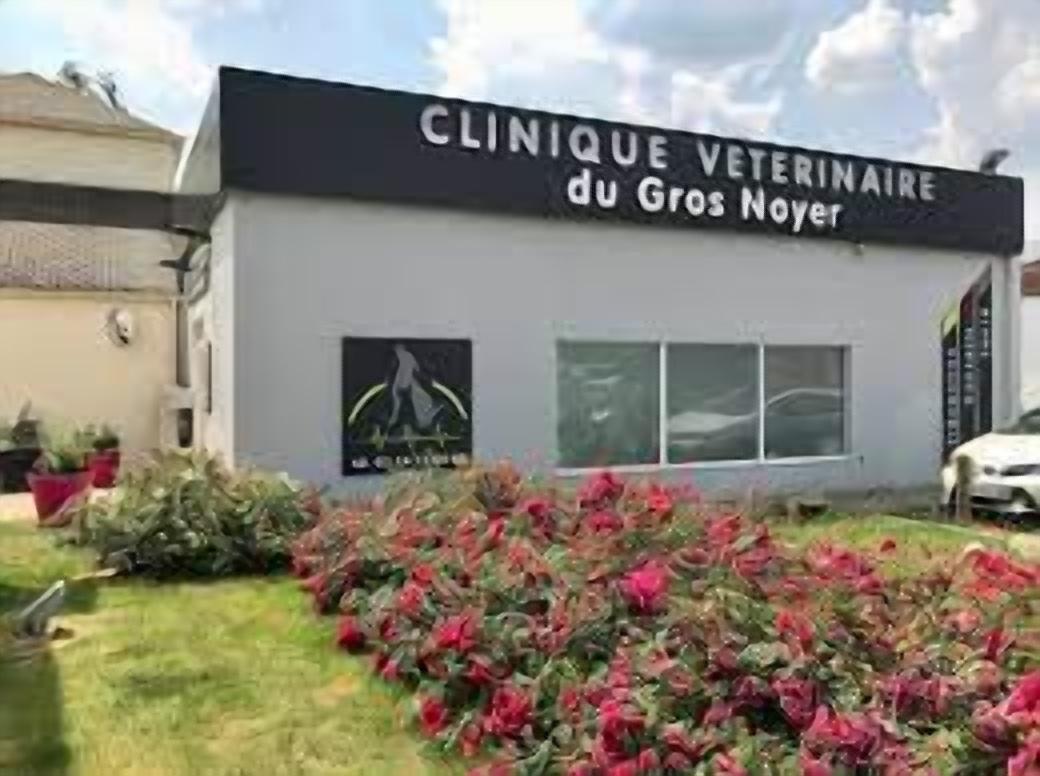 Clinique Vétérinaire D'azay-le-rideau - Sevetys Azay Le Rideau