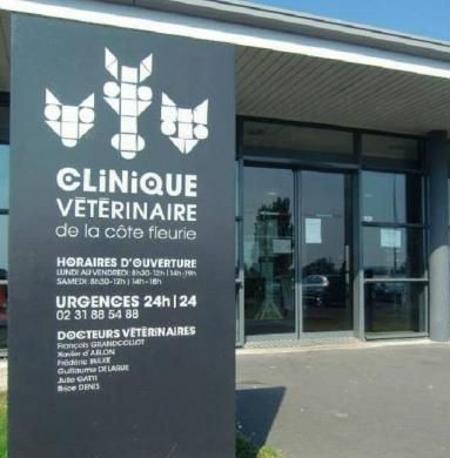 Clinique Vétérinaire De La Côte Fleurie Bonneville Sur Touques