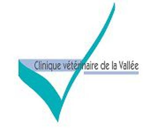 Clinique Veterinaire Firminy