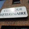 La Clinique Vétérinaire