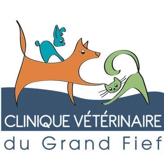 Clinique Vétérinaire Du Grand Fief Chantonnay