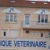 Clinique Vétérinaire Du Moulin Chelles