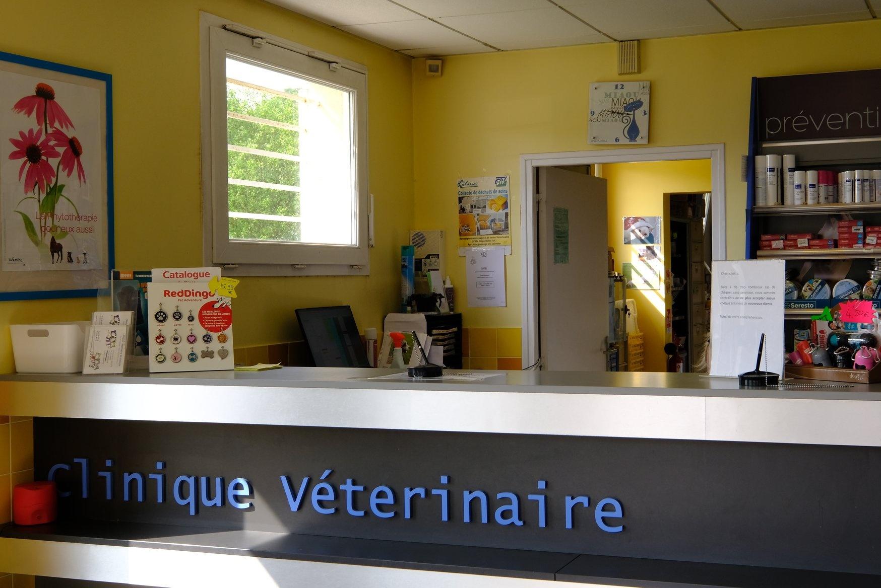 Clinique Vétérinaire Du Valasse - Gruchet-le-valasse - Sevetys Gruchet Le Valasse