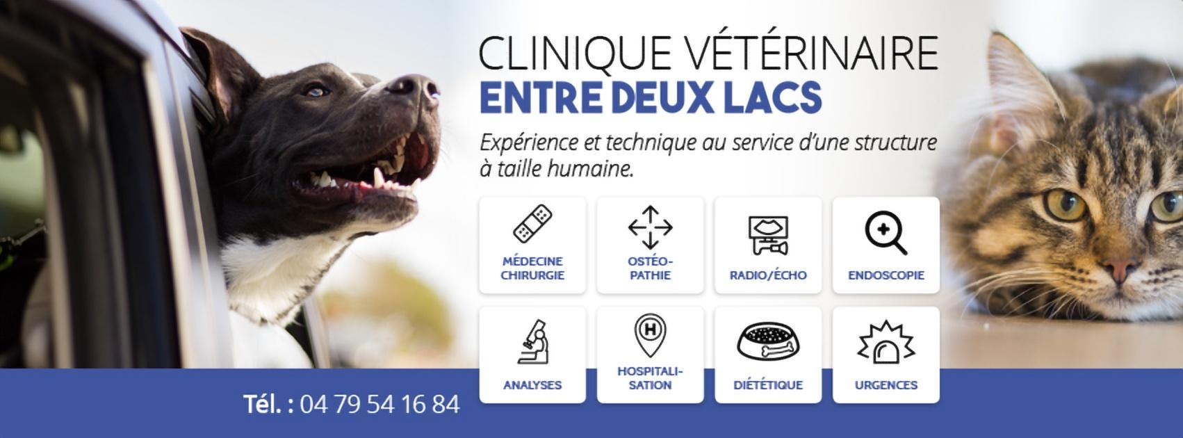 Clinique Vétérinaire Entre Deux Lacs Entrelacs