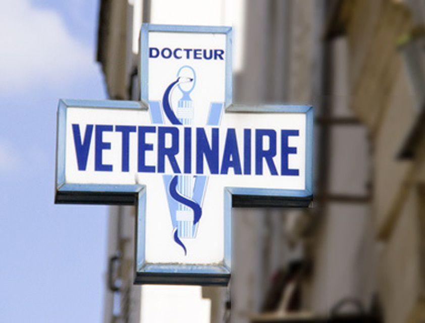 Clinique Vétérinaire Europa Boulogne Billancourt