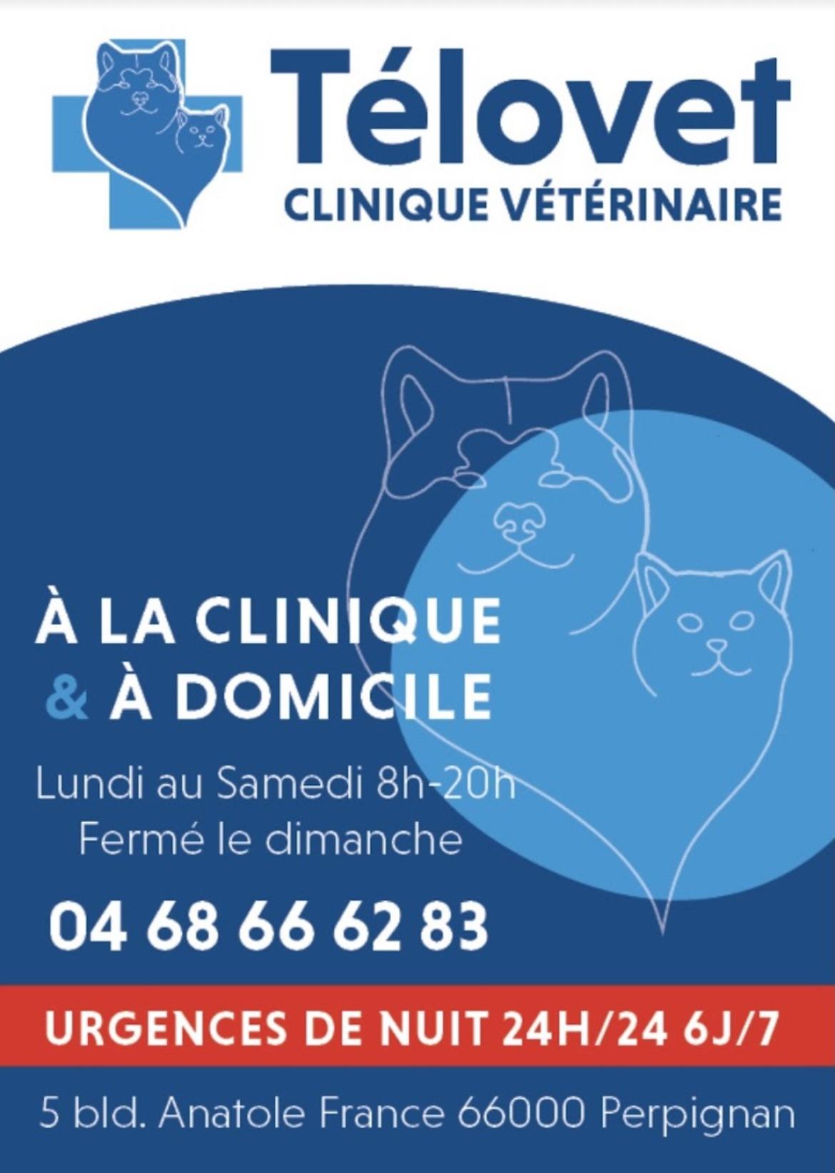 Clinique Vétérinaire Telovet-perpignan Perpignan