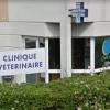 Clinique Vétérinaire Thoiry