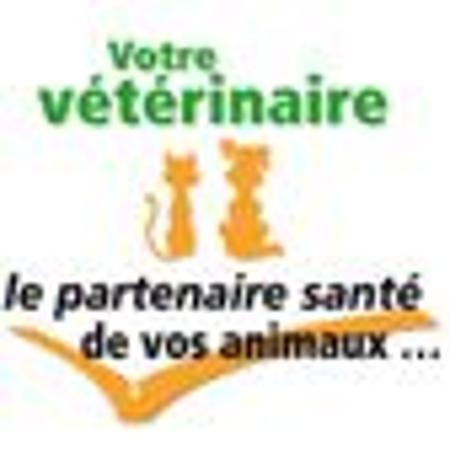 Clinique Vétérinaire Thorigny Sur Marne