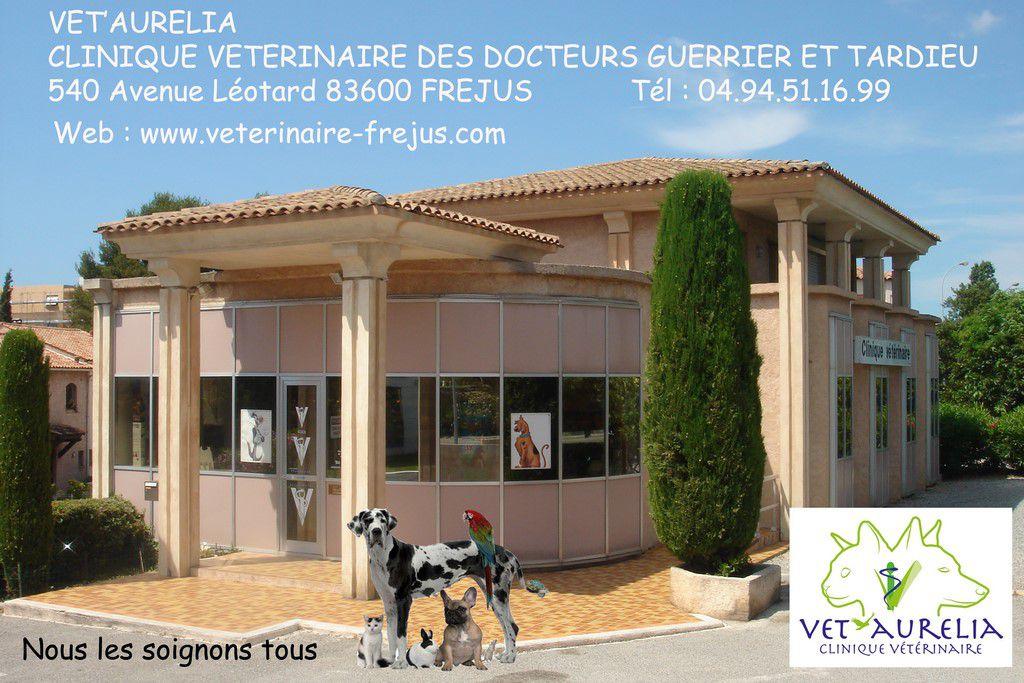 Clinique Vétérinaire Vet'aurelia Fréjus