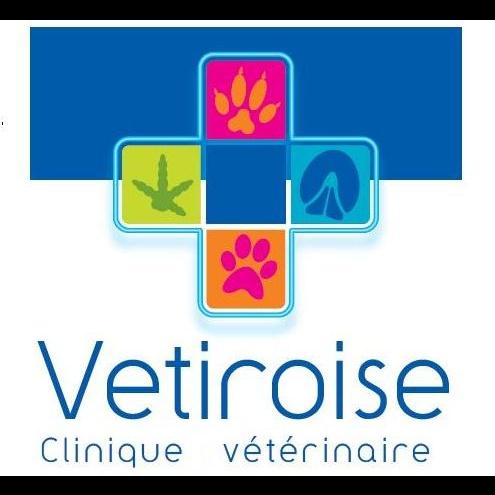 Clinique Vétérinaire Vétiroise De Landerneau Landerneau