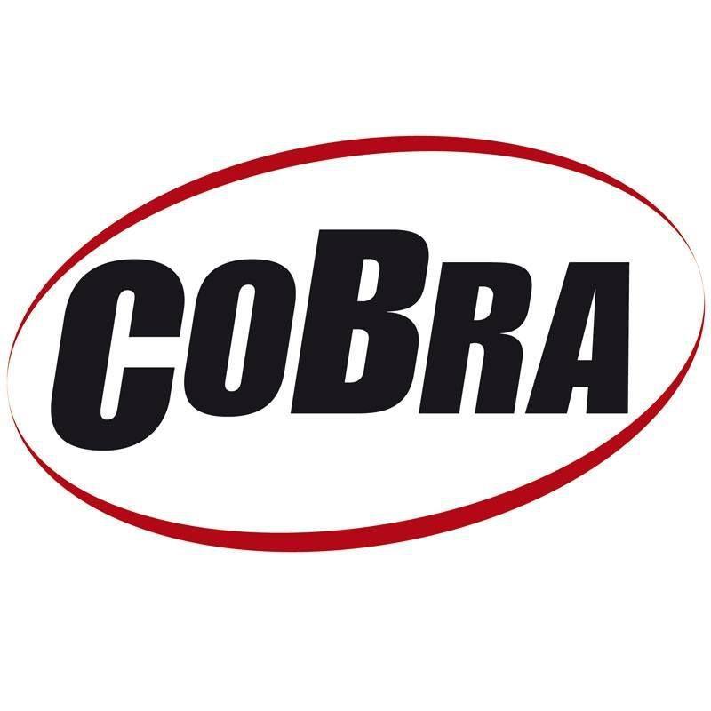 Cobra Boulogne Billancourt