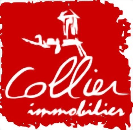 Collier Immobilier Paray Le Monial