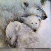 Famille Ours