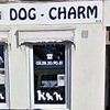 Dog Charm Bergues