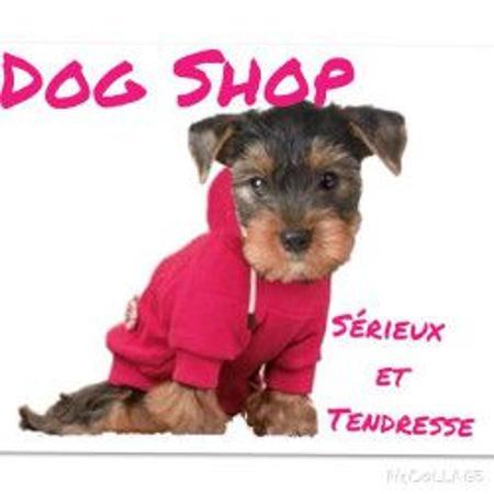 Dog Shop Malakoff