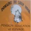 Domaine Du Loup Noir Bois De Cené