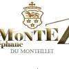 Domaine Du Monteille- Stéphane Montez Chavanay