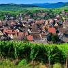 Vignoble Alsace Riquewihr Domaine Greiner Vins Biologique Schoenenbourg Riesling Sporen Gewurztraminer Cuvee De L'archer