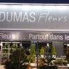 Dumas Fleurs Pertuis