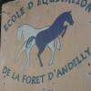 Ecole Equitation De La Foret Andilly