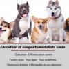 « Education Canine – Océane Massol » Educateur Et Comportementaliste Canin à Montpellier Et Ses Alentours