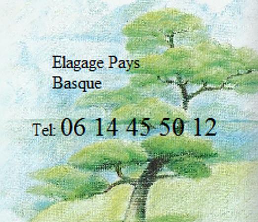 Elagage Pays Basque Saint Martin De Seignanx