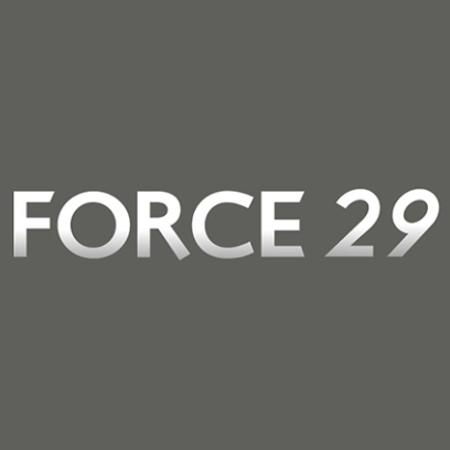 Force 29 Guipavas