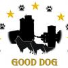 Good Dog  Angoulins