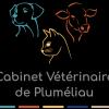 Gsab - Cabinet Vétérinaire De Pluméliau Pluméliau Bieuzy