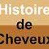 Histoire De Cheveux Villefranche Sur Saône