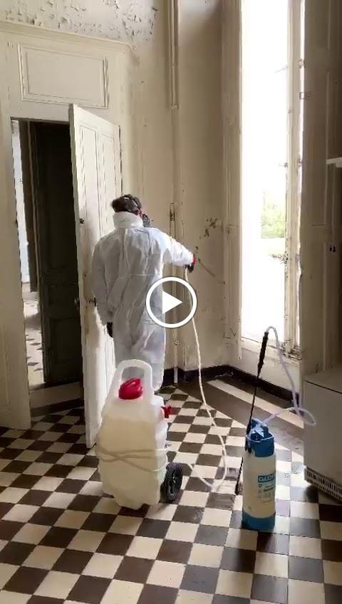 Hygiene Service Solution  - Anti Punaise De Lit - Cafard - Dératisation Neuilly Sur Seine