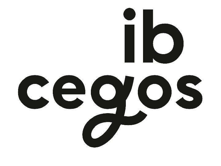 Ib Cegos Formation Informatique Aix-en-provence Aix En Provence
