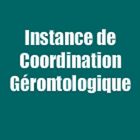 Instance De Coordination De L'autonomie Corrèze